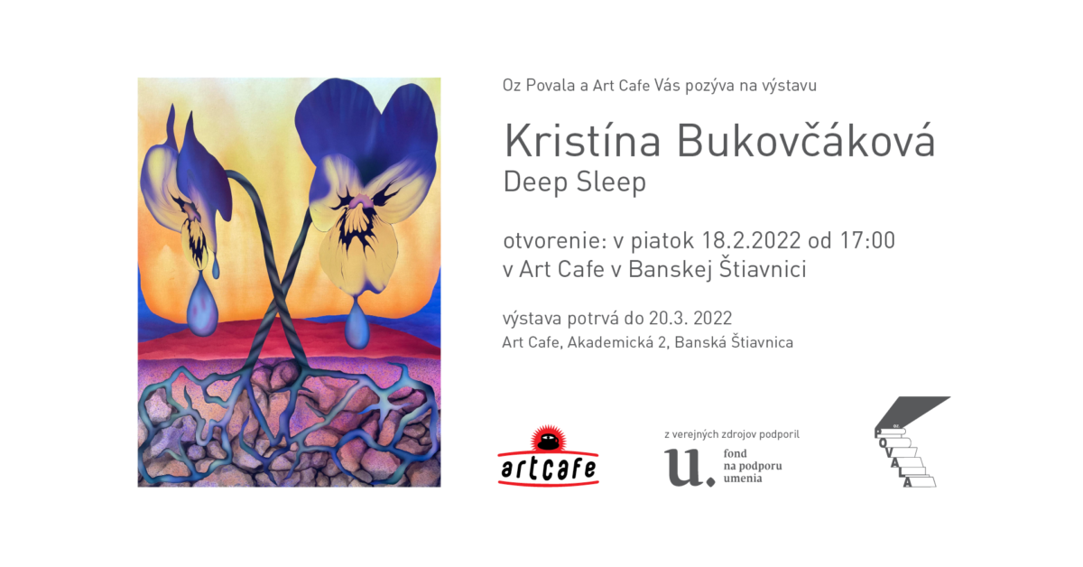 Kristína Bukovčáková: Deep Sleep (od 18.2.)